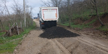 f2119dba-a654-404a-9723-c6a63b7b2a93