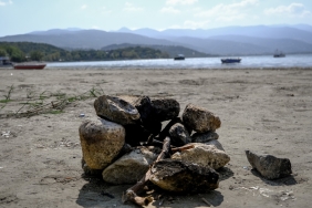 0a96ce0d-20e3-46d3-986d-9c8fbe0933ad