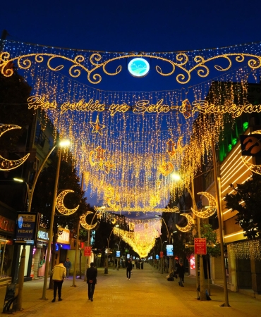 12141599-38a3-4dcd-b166-e61a99ee9507