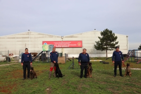 2414edbc-f9e2-428a-9c74-f4e26dc84672