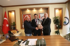 071089fe-e5ee-4645-8189-c6ae9e188bd4