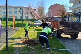 25dbbb0e-5d27-4a4e-b038-26acab451627