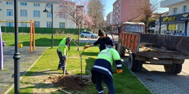 25dbbb0e-5d27-4a4e-b038-26acab451627