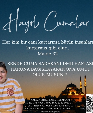 53ed33e4-5f01-4f5a-aad1-22c8e2d7b5c9