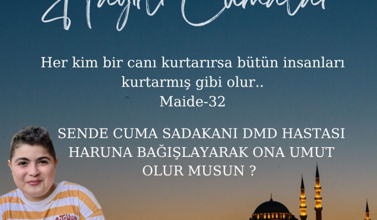 53ed33e4-5f01-4f5a-aad1-22c8e2d7b5c9