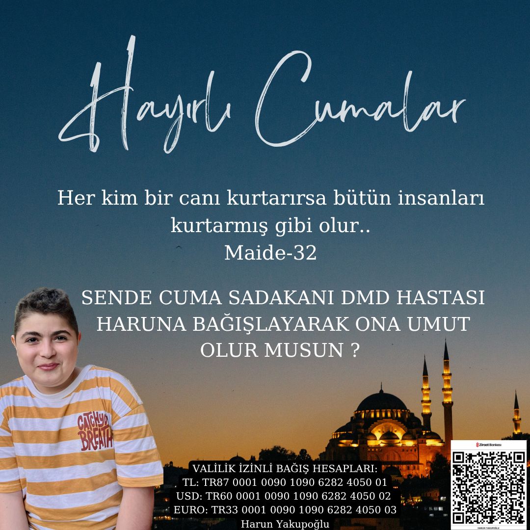 53ed33e4-5f01-4f5a-aad1-22c8e2d7b5c9