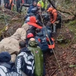 55b73000-abdd-405a-a293-614b062d0c67