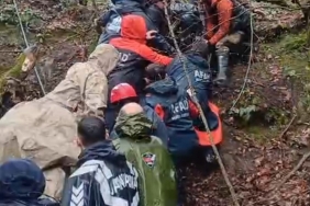 55b73000-abdd-405a-a293-614b062d0c67