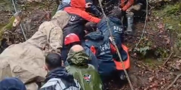 55b73000-abdd-405a-a293-614b062d0c67