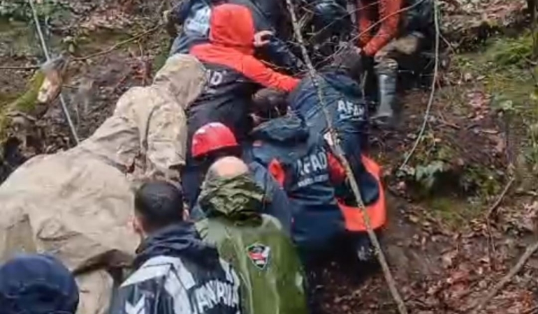 55b73000-abdd-405a-a293-614b062d0c67