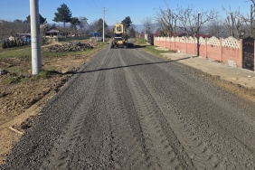 5d040bae-7990-4637-ae81-e0b7bfe8aa17