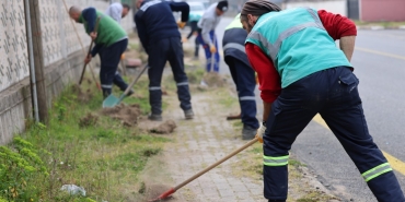 ac77e232-81a7-48b0-ba68-492570a4a6d4