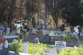 c0d9e95f-1fbf-413b-850f-59afc77397fb