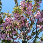 a76c0b2b-ca73-47f5-84cc-04c8bb24b4fb