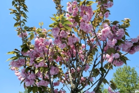 a76c0b2b-ca73-47f5-84cc-04c8bb24b4fb