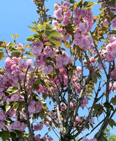 a76c0b2b-ca73-47f5-84cc-04c8bb24b4fb