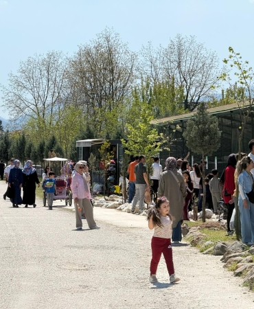 c04adadd-b1b9-4409-84d3-6be08c90201b