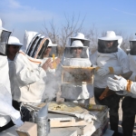 c82cc855-e671-4887-a64b-05081704d46e