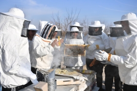 c82cc855-e671-4887-a64b-05081704d46e