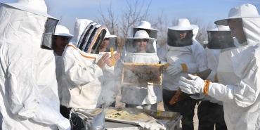 c82cc855-e671-4887-a64b-05081704d46e