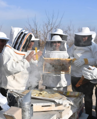 c82cc855-e671-4887-a64b-05081704d46e