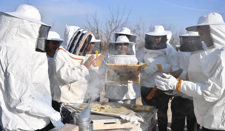 Baharın Bereketi Kovanlara Taşındı: Sakaryalı Arıcılar İş Başında