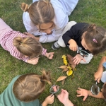 cf70c8f7-bb98-4047-a05b-a1b031f7378b