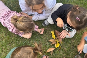 cf70c8f7-bb98-4047-a05b-a1b031f7378b