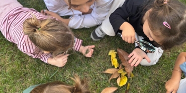 cf70c8f7-bb98-4047-a05b-a1b031f7378b