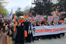 d7ed38cd-67fc-4018-b6ed-82ed67cf6d1f