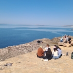 d8d7013c-8c54-403c-a6fd-1a1cb71254fa