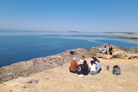 d8d7013c-8c54-403c-a6fd-1a1cb71254fa