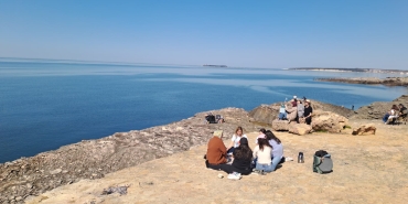 d8d7013c-8c54-403c-a6fd-1a1cb71254fa