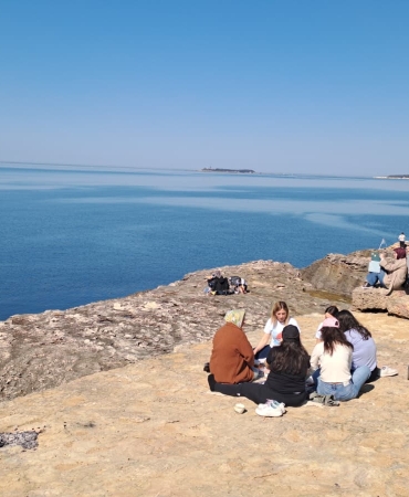 d8d7013c-8c54-403c-a6fd-1a1cb71254fa