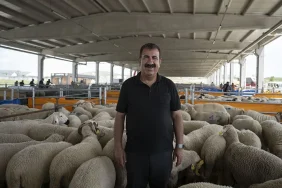 NİHAT ÇELİK (2)