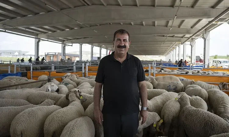 NİHAT ÇELİK (2)