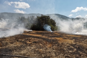 9101daf8-9031-455e-8290-7db69b1f692e