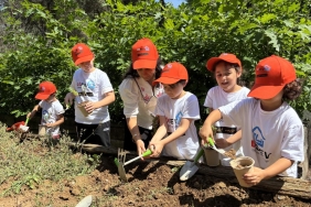 Atatürk_Arboretumu_104734774