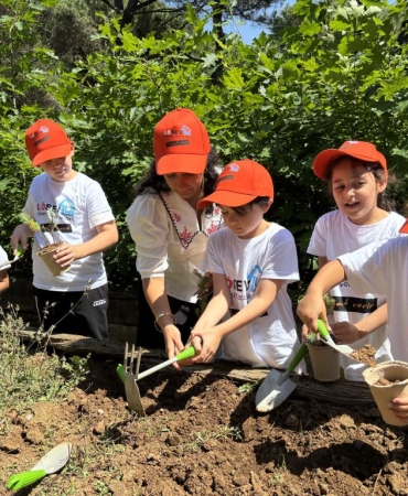 Atatürk_Arboretumu_104734774