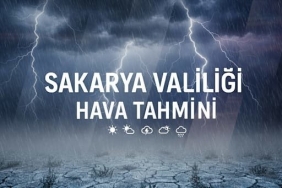 sakarya valiliği