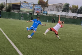 Demir macina ens